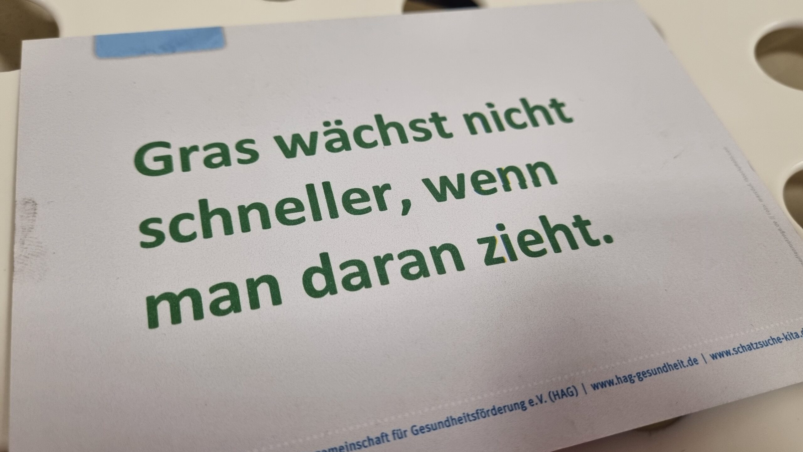 Schatzsuche Gras wächst nicht schneller